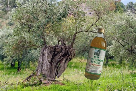 Olio Extra Vergine di Oliva